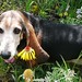 Karen Flowers Photo 29