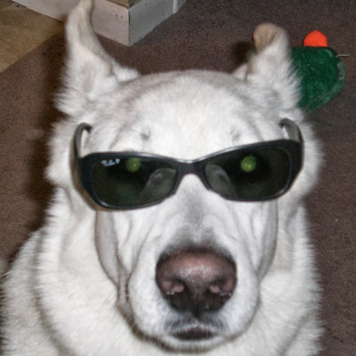 George Ramsey Photo 3