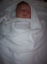 Terri Porter Photo 10