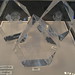 Crystal York Photo 36