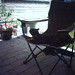 Angella Cook Photo 11