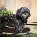 Teddi Long Photo 4