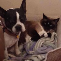 Donna Nowak Photo 9