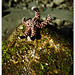 Ray Carrillo Photo 19