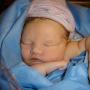 Lisa Goodlett Photo 8