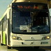 Ana Mistral Photo 7