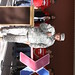 Steven Collier Photo 24