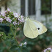 Elizabeth Sellers Photo 9