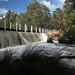 Margaret Weir Photo 11