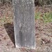 Jr Cox Photo 17