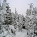 Cliff Webster Photo 9