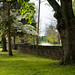 David Woodford Photo 17