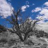 Brady Hansen Photo 25