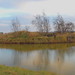 Brandy Marsh Photo 16
