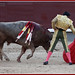 Juan Mora Photo 31