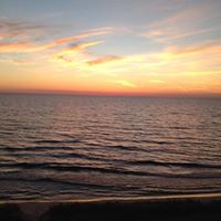 Stephen Carlson Photo 26