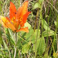 John Mainwaring Photo 14