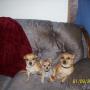 April Groves Photo 19