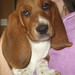 Wilma Male Photo 6