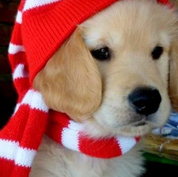 Patti Pagano Photo 6