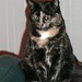 Shelley Little Photo 14