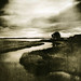 Vicki Marsh Photo 9