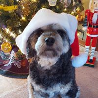 Donna Meeks Photo 31