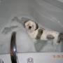 Sandy Wolfe Photo 24
