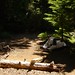 Timothy Camp Photo 17