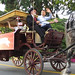 Terri Robertson Photo 17