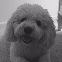 Nancy Beacham Photo 5