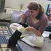 Alicia Guest Photo 1