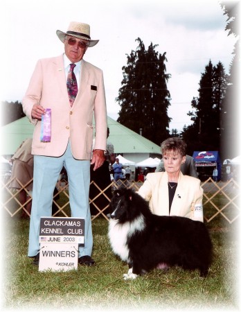 Shari Sharp Photo 30
