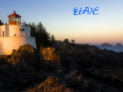 Diane Heim Photo 22