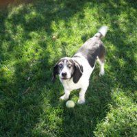 Rosemarie Muller Photo 11