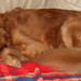 Nancy Holley Photo 14