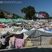 Theresa Camp Photo 25
