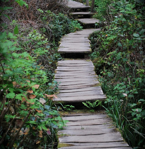 Louise Howard Photo 32