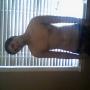 Shaun Anders Photo 3
