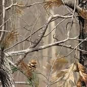 Jacob Kirkpatrick Photo 6