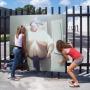 David Rhodes Photo 31
