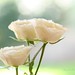 Elna Hope Photo 5