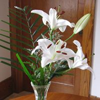 Sonia Simpson Photo 11