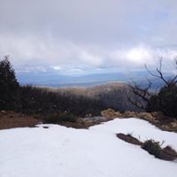 Debra Mccormack Photo 23