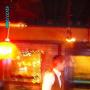 Michael Webster Photo 44