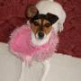 Cynthia Morrow Photo 11
