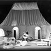 George Franke Photo 18