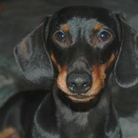 Laura Buckner Photo 15