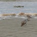 Sandy Ma Photo 22