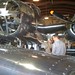 Michael Shumaker Photo 16